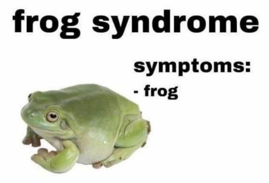 20 Frog Memes For Hoppin Into Hilarity