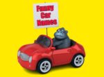 Funny Car Names