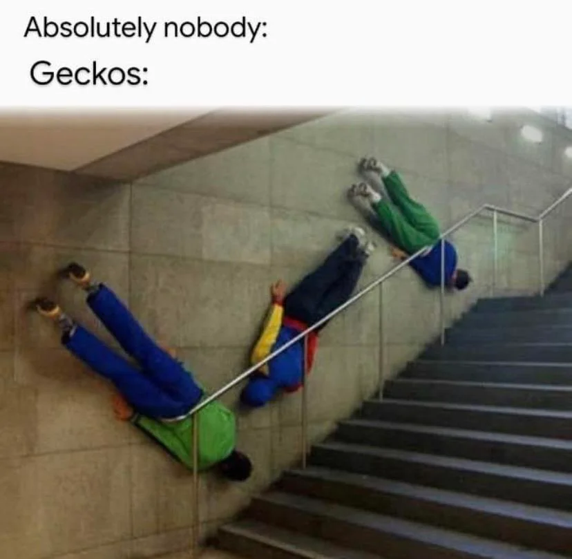 28 Breaking The Laws Of Physics Memes That Will Make You Question The Laws Of Physics 23 Geckos