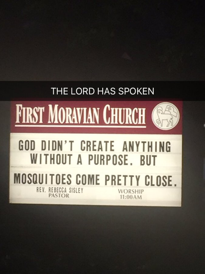 25 Church Signs that Deliver Heavenly Humor 8 God didnt create anything