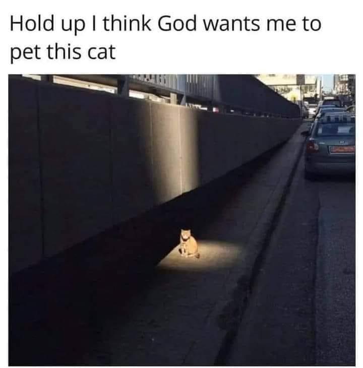 19 Memes That Make You Laugh, Think, and Reflect 7 God wants me to pet this dog - Memes That Make You Laugh, Think