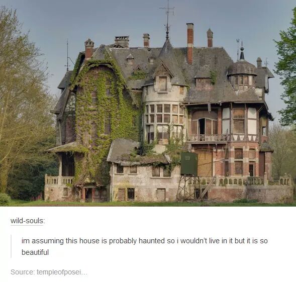Serial Meme Killers: 15 Hilariously Chilling 'Silence of the Memes' 4 Haunted house