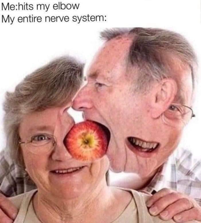 20 Must-See Memes Ideal for Casual Browsing 16 Hits my elbow