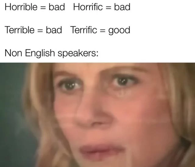 30 Hilarious Memes That Prove English Is The Funniest Language 23 Horrible is bad - English Is The Funniest Language