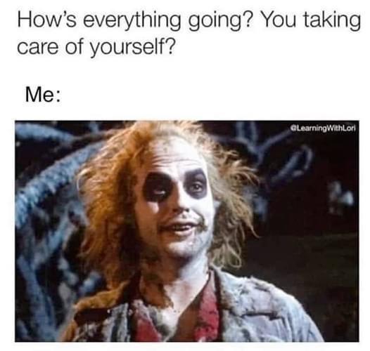 22 Unforeseen Humorous Gems 5 How is everything going