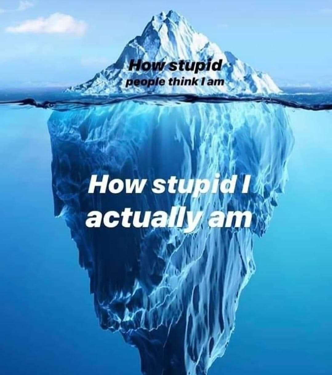 20 Must-See Memes Ideal for Casual Browsing 5 How stupid I am