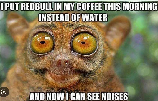 22 Animal Memes To Start Your Day Right 17 I put red bull in my coffee - Animal Memes