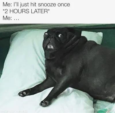 25 Sleep Memes for the Not-So-Morning People 21 Ill just hit snooze once