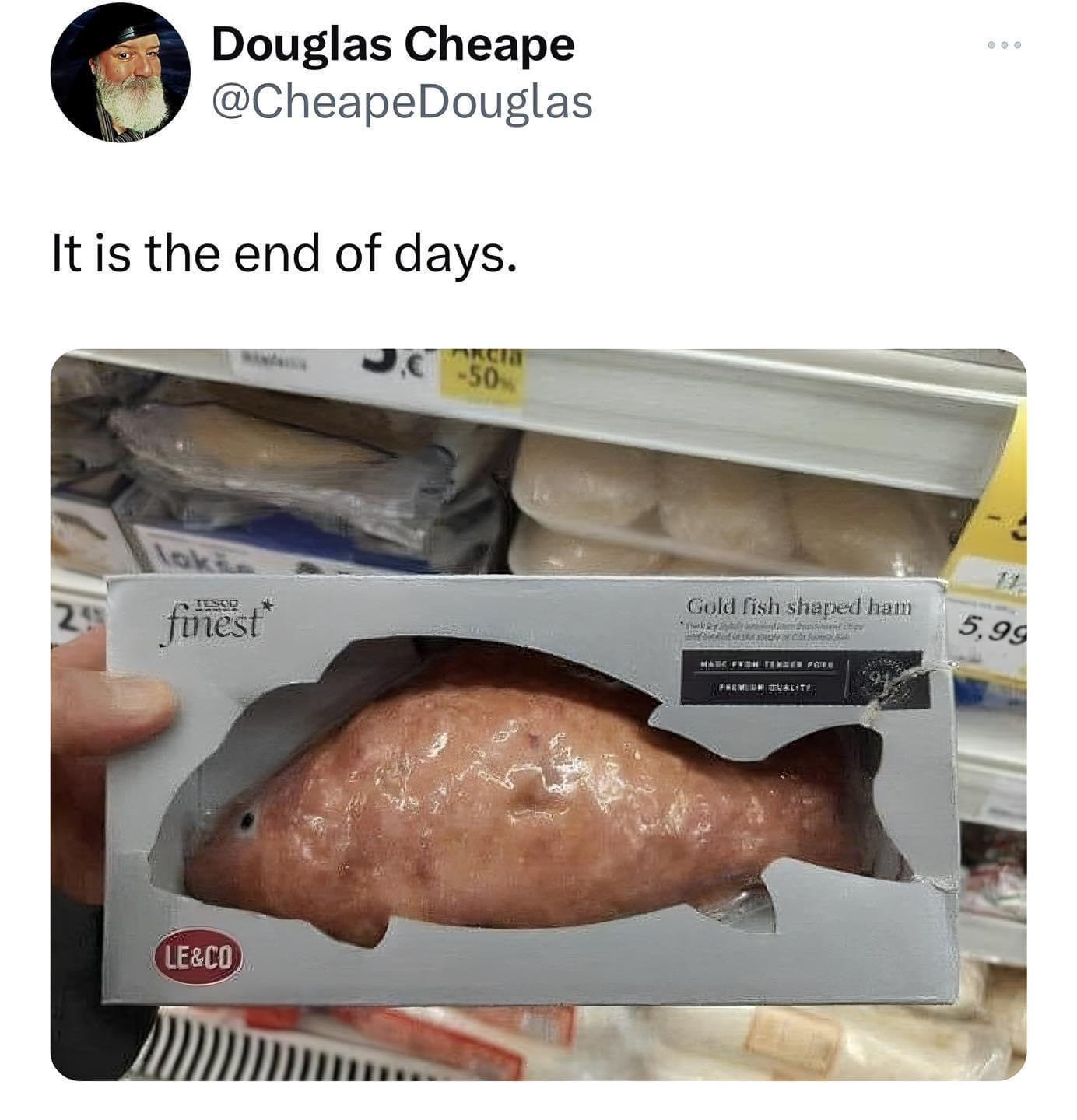 24 Silly Memes That Will Make You Wonder What's So Funny 10 It is the end of the days - Silly Memes