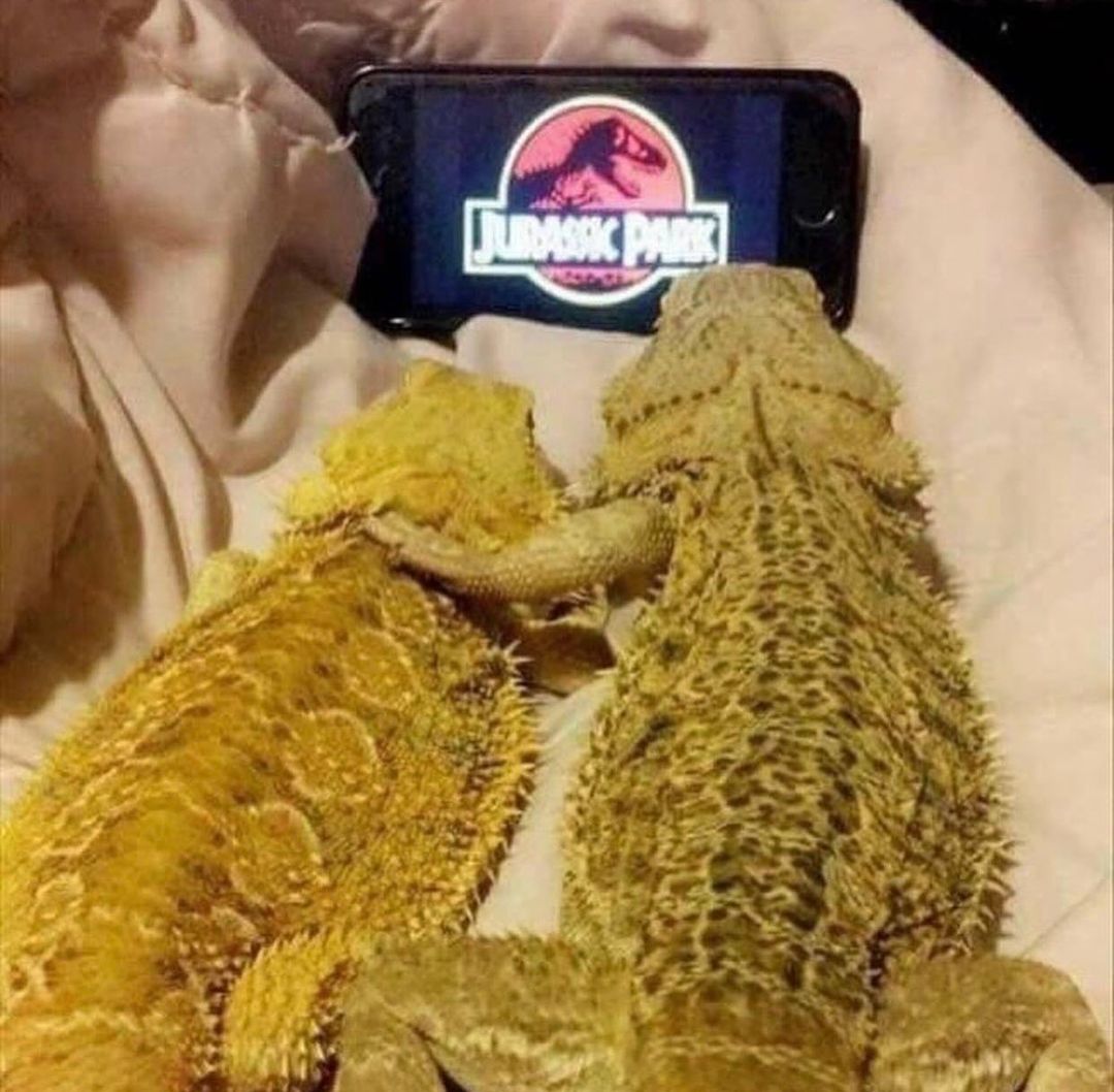20 Hair-Raising Cursed Images Found on This Instagram Account 12 Jurassic park