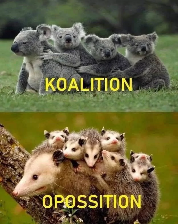 22 Animal Memes To Start Your Day Right 18 Koaliation - Animal Memes