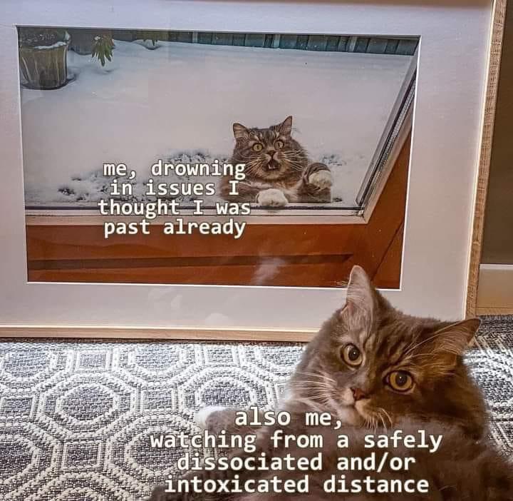 Laugh Through Adversity: 25 Memes for These Trying Times 10 Me drowning in issue