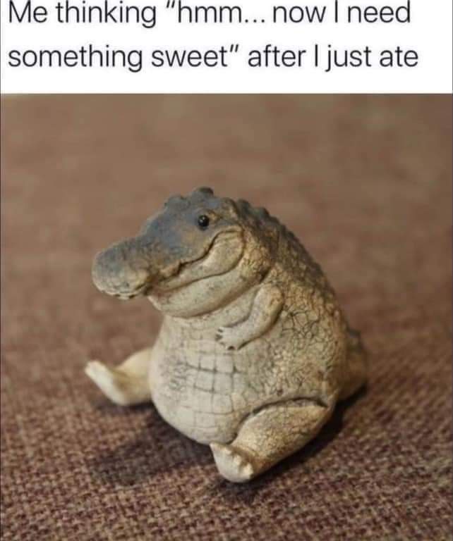 22 Animal Memes To Start Your Day Right 21 Me thinking
