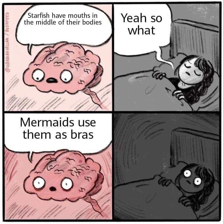 Mermaids use them