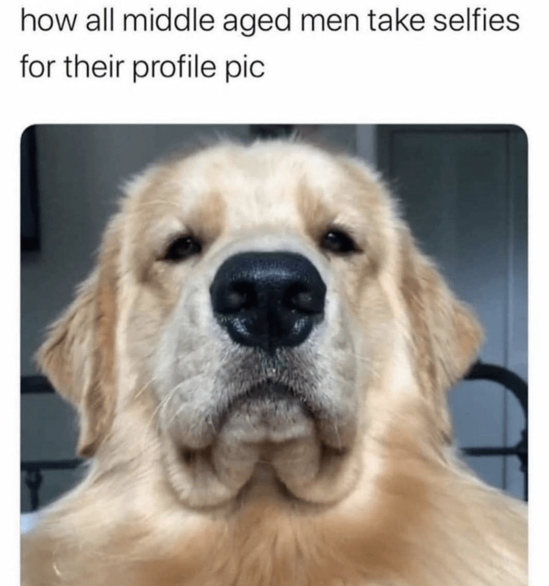 20 Funniest Dog Memes That Bark Up the Right Tree 8 Middle age men taking selfies - Funniest Dog Memes