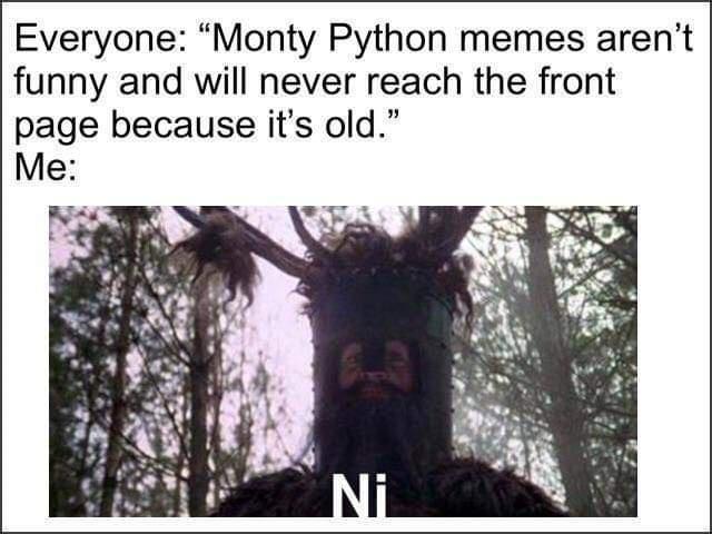24 Silly Memes That Will Make You Wonder What's So Funny 13 Monty python memes - Silly Memes