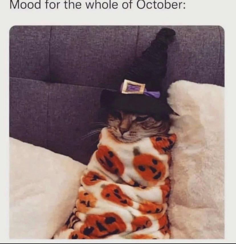 20 Spooky Memes to Haunt Your Screen 15 Mood for the whole october - Spooky Memes