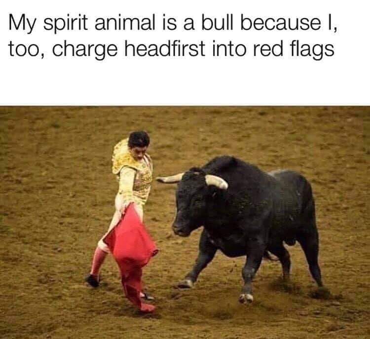 30 Red Flags Memes That Prove Love Isn't Always 'Rosy' 13 My spirit animal is a bull - Red Flags Memes