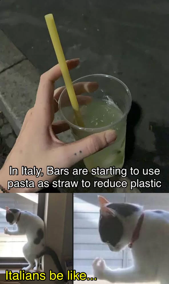 Mamma Mia! 20 Hilarious Pasta Memes for National Pasta Day 8 Pasta straw - Pasta memes