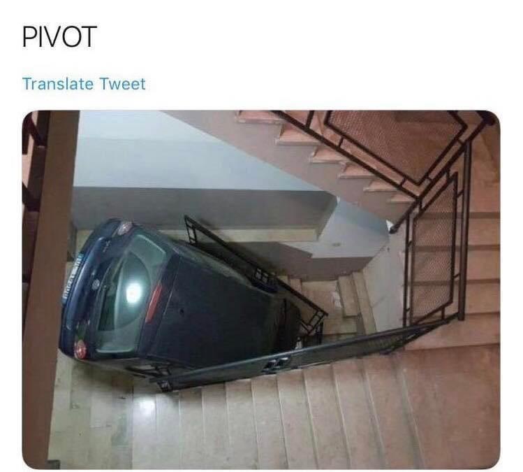 Laugh Through Adversity: 25 Memes for These Trying Times 13 Pivot