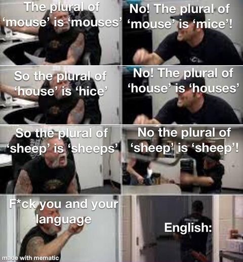30 Hilarious Memes That Prove English Is The Funniest Language 22 Plural of mouse is mice - English Is The Funniest Language