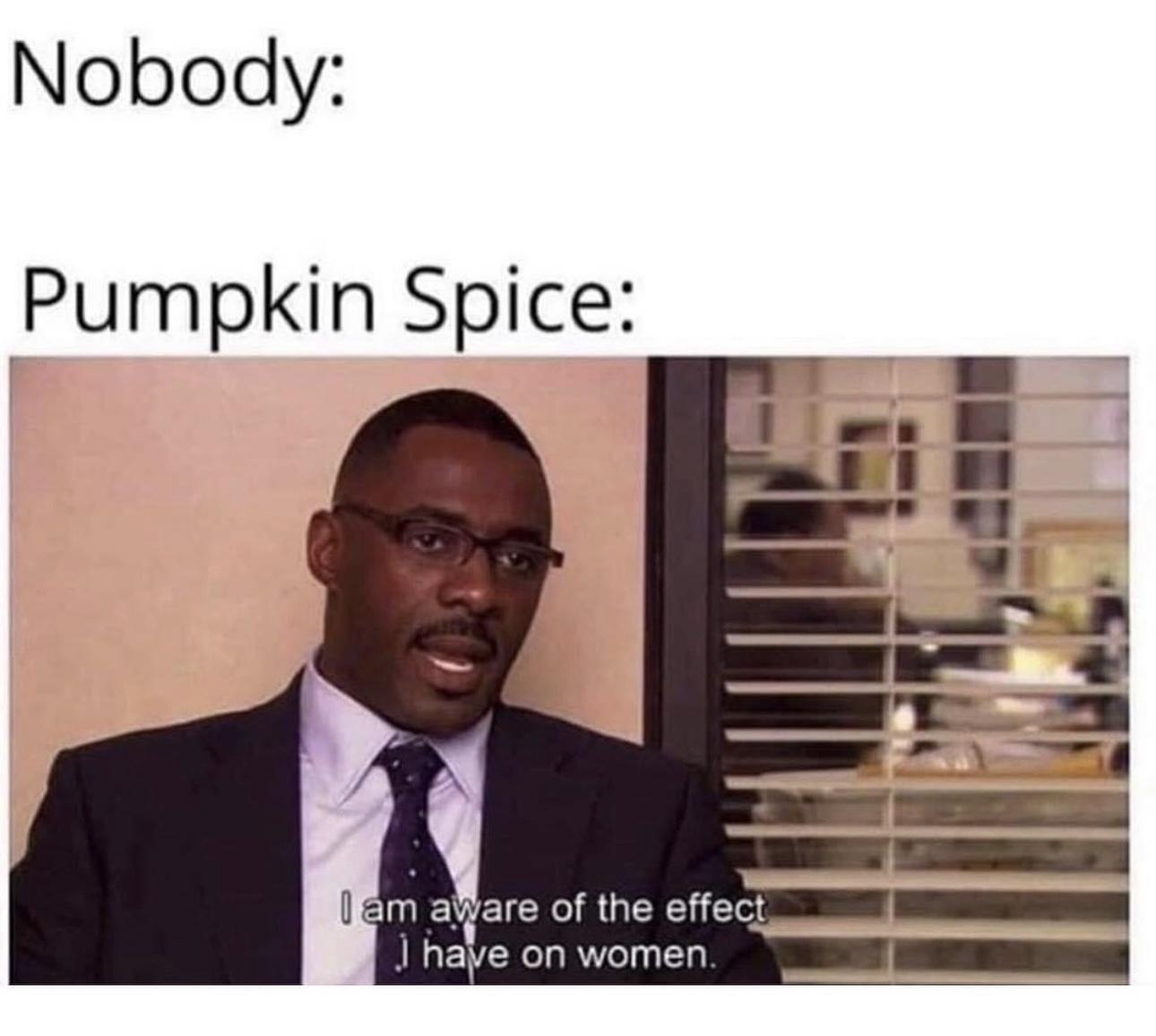 22 Unforeseen Humorous Gems 13 Pumpkin spice