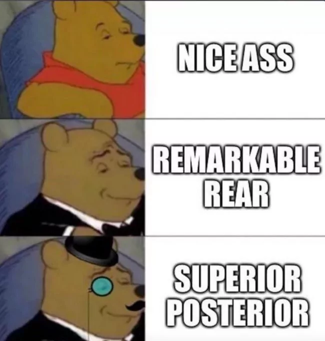 30 Hilarious Memes That Prove English Is The Funniest Language 29 Remarkable