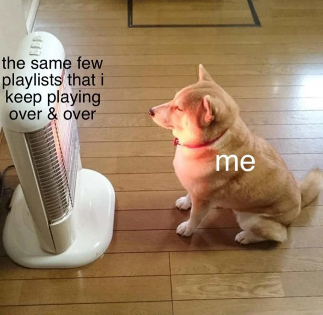 25 Literal Memes That Take Things Way Too Seriously 24 Same few playlist