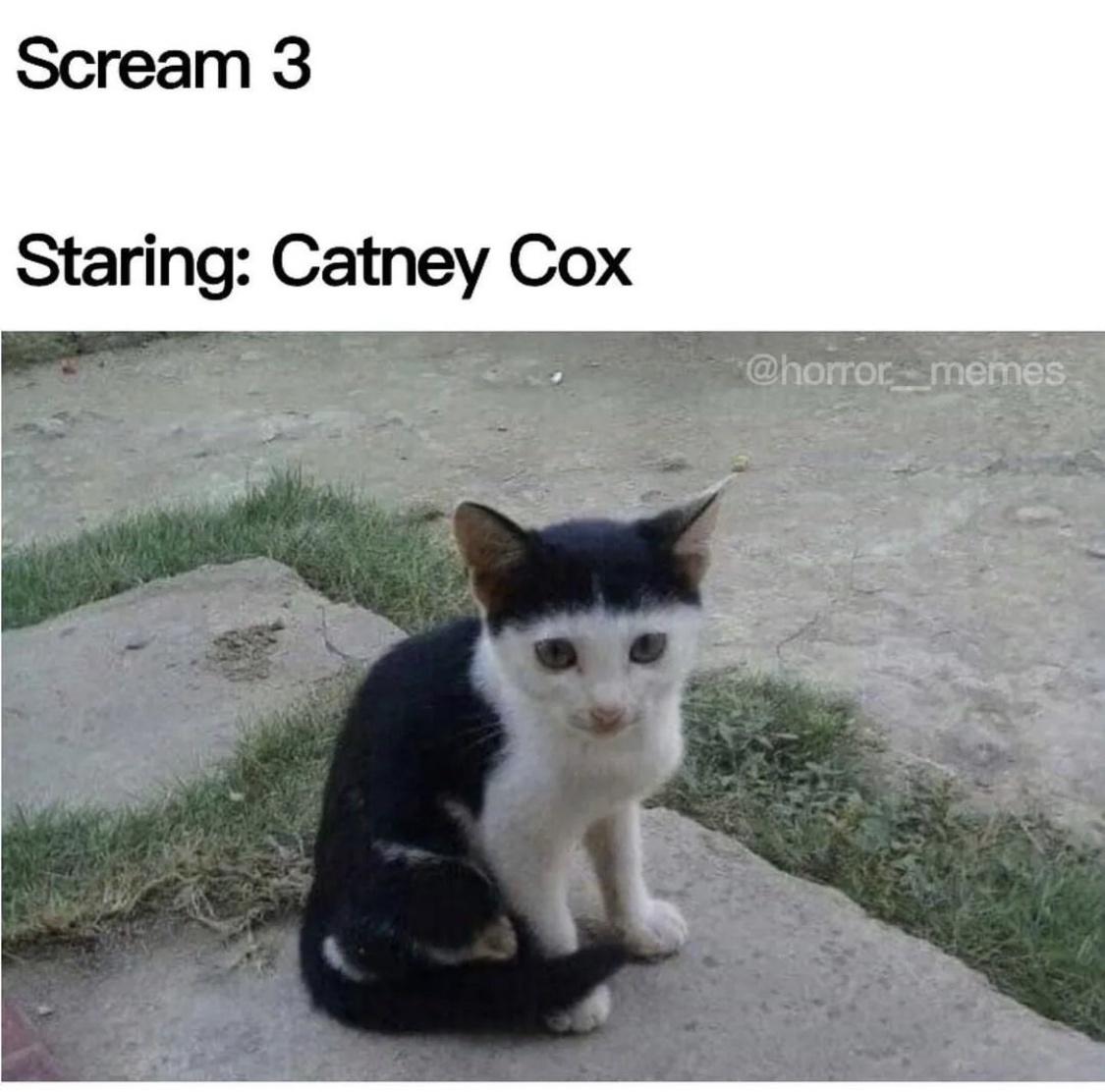 Serial Meme Killers: 15 Hilariously Chilling 'Silence of the Memes' 11 Scream 3