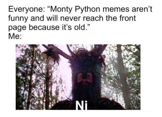 Silly memes - FG