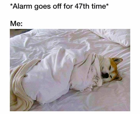 Sleep Memes - FG