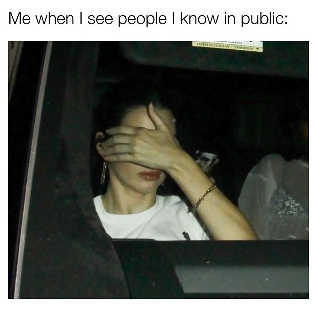 25 Funny Introvert Memes for Those Who'd Rather Be Alone 24 me when I see people