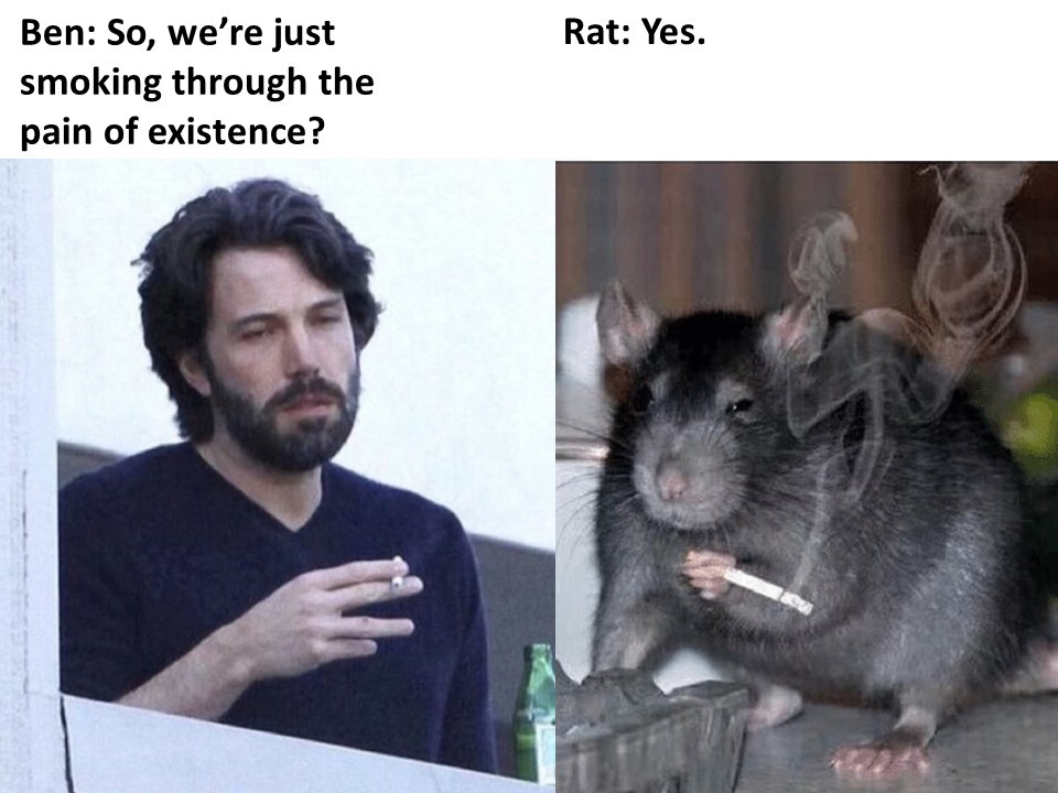 15 Ben Affleck Memes That Will Make You Say, "Tell Me, Do You Laugh?" 9 So we are just smoking through the pain