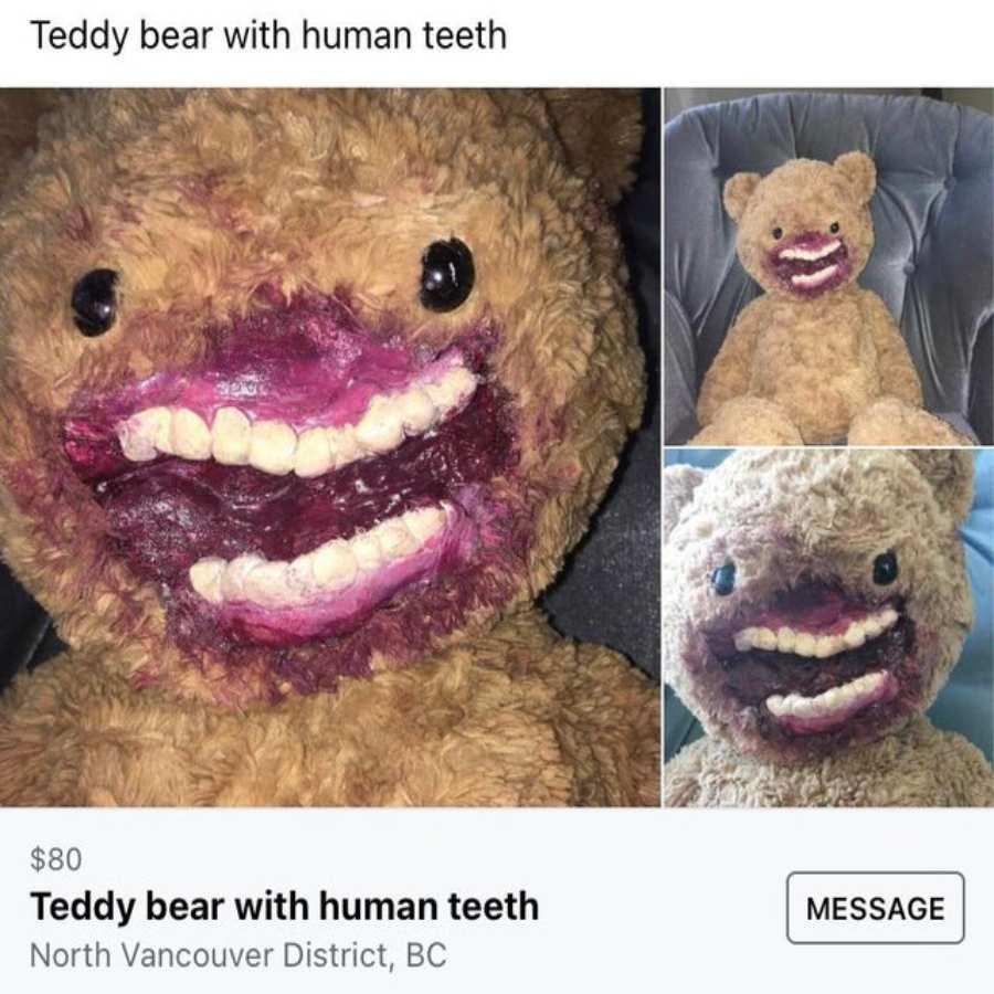 22 Unforeseen Humorous Gems 15 Teddy bear with human teeth