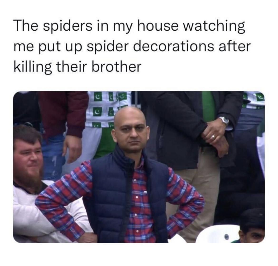 19 Memes That Make You Laugh, Think, and Reflect 11 The spiders in my house - Memes That Make You Laugh, Think
