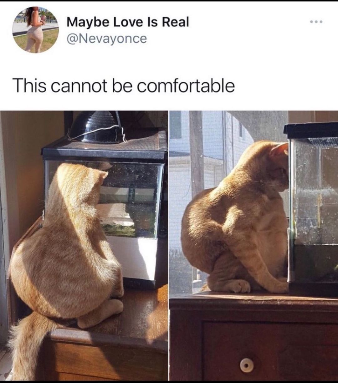 35 Relatable Memes That Sum Up Life's Daily Trials, Handpicked from This Must-Follow IG Pag 23 This cannot be comfortable - Relatable Memes