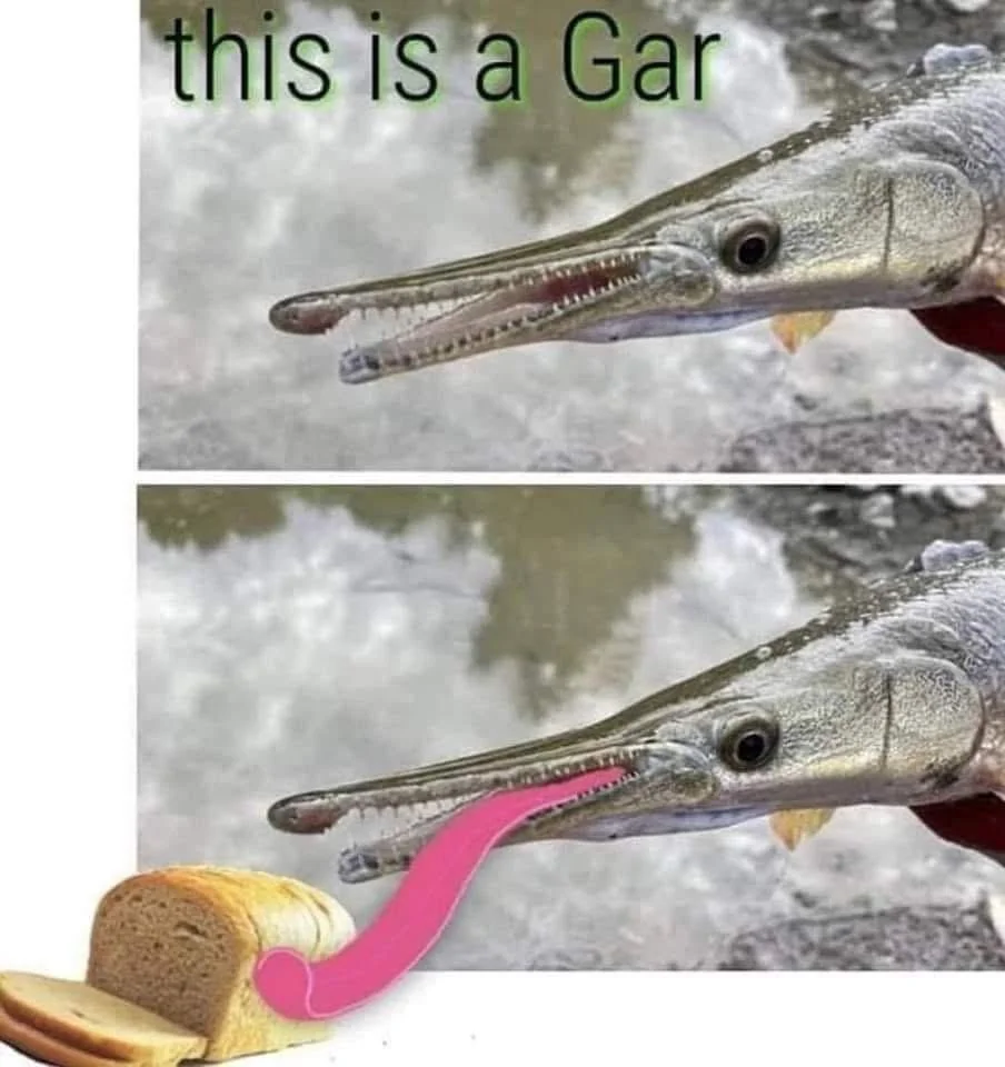 What The Pun! Step into the World of Punny Memes 30 This is a gar