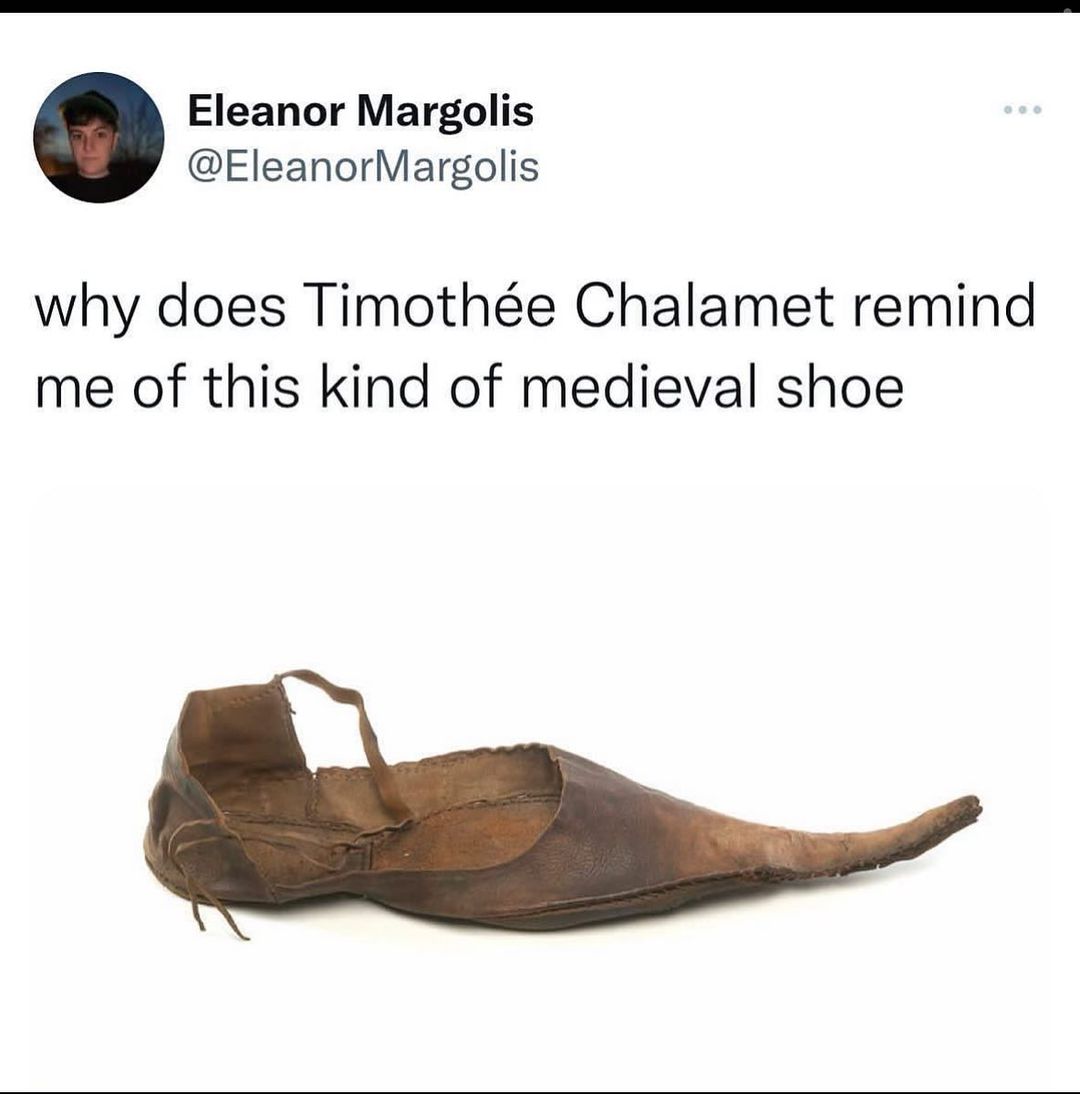 35 Relatable Memes That Sum Up Life's Daily Trials, Handpicked from This Must-Follow IG Pag 24 Timothee chalamet remind me of this shoe - Relatable Memes