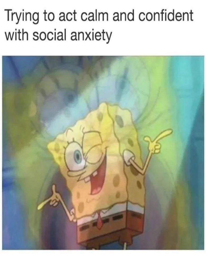 25 Funny Introvert Memes for Those Who'd Rather Be Alone 10 Trying to act calm and confident - Funny Introvert Memes