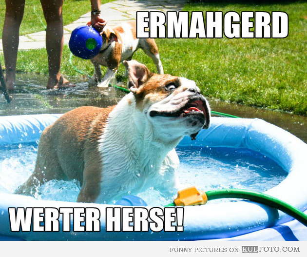 20 Ermahgerd Memes: Where Laughter Meets Misspelling 22 Water hose