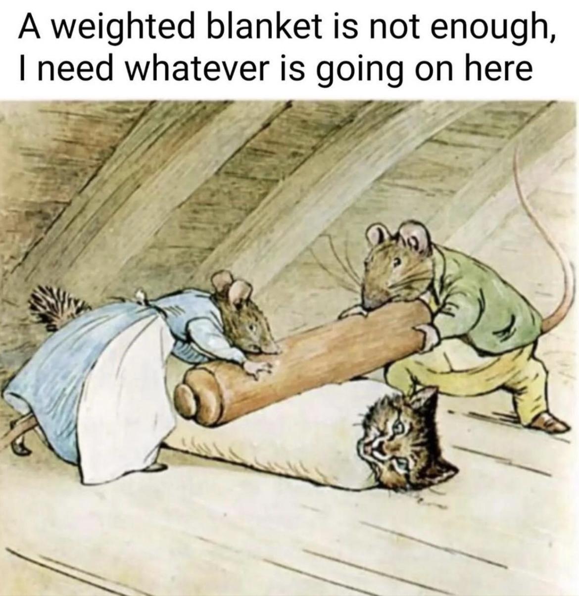 19 Memes That Make You Laugh, Think, and Reflect 18 Weighted blanket