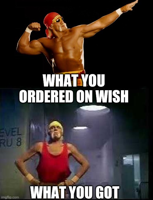 32 "When You Order From Wish Memes" That Will Make You Wish You Never Ordered From Wish 25 What you ordered on wish - When you order from wish memes