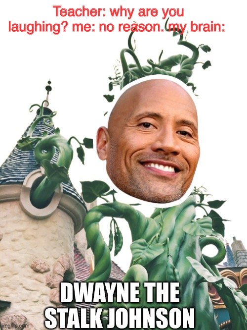 15 Dwayne Johnson Memes That Will Rock Your World - Chameleon Memes - Medium