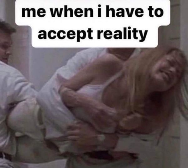 19 Memes That Sum Up Your Struggles 14 When I have to accept reality - Memes That Sum Up Your Struggles