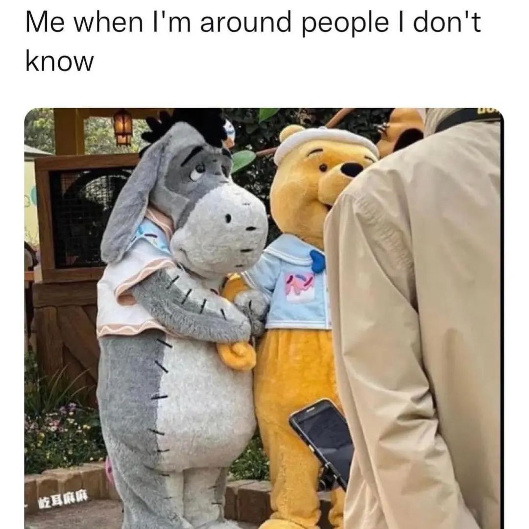 25 Funny Introvert Memes for Those Who'd Rather Be Alone 13 When im around people I dont know - Funny Introvert Memes