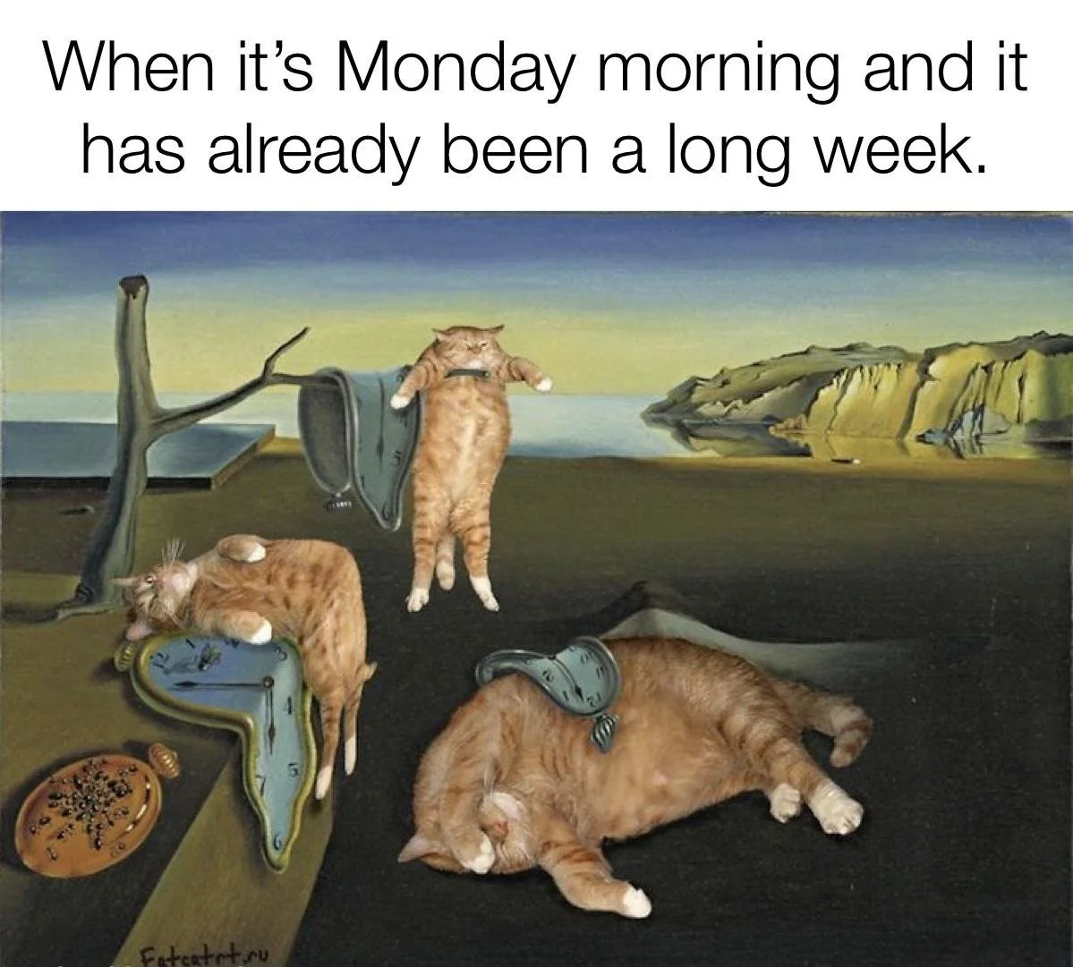 20 Monday Humor Memes for Hardcore Monday Haters 15 When its monday morning - Monday Humor