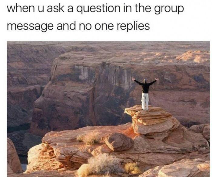 22 Unforeseen Humorous Gems 18 When you ask question in the group