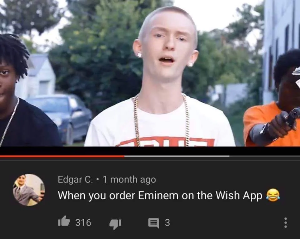 32 "When You Order From Wish Memes" That Will Make You Wish You Never Ordered From Wish 21 When you order eminem - When you order from wish memes