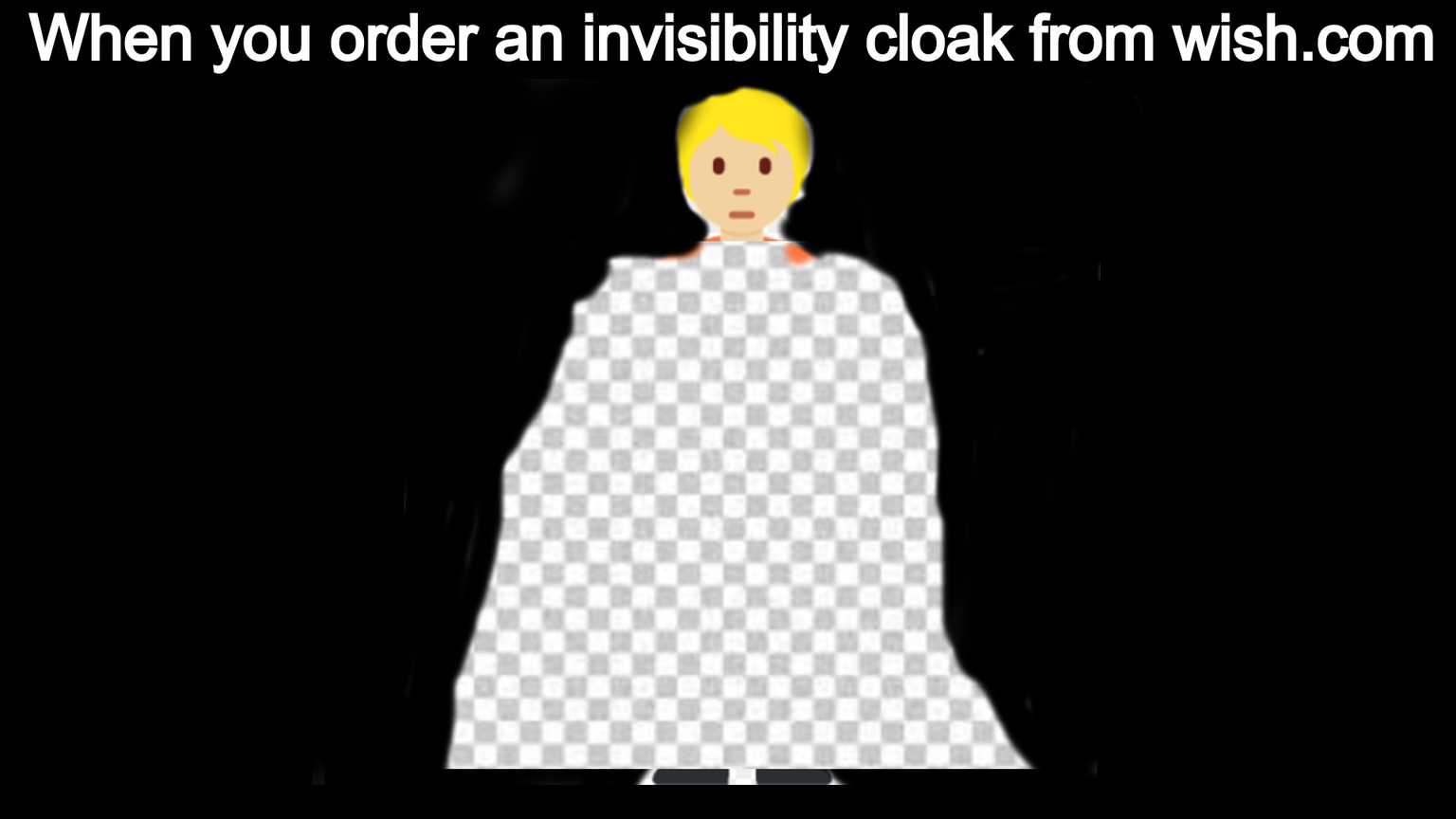 32 "When You Order From Wish Memes" That Will Make You Wish You Never Ordered From Wish 24 When you order invisibility cloak - When you order from wish memes