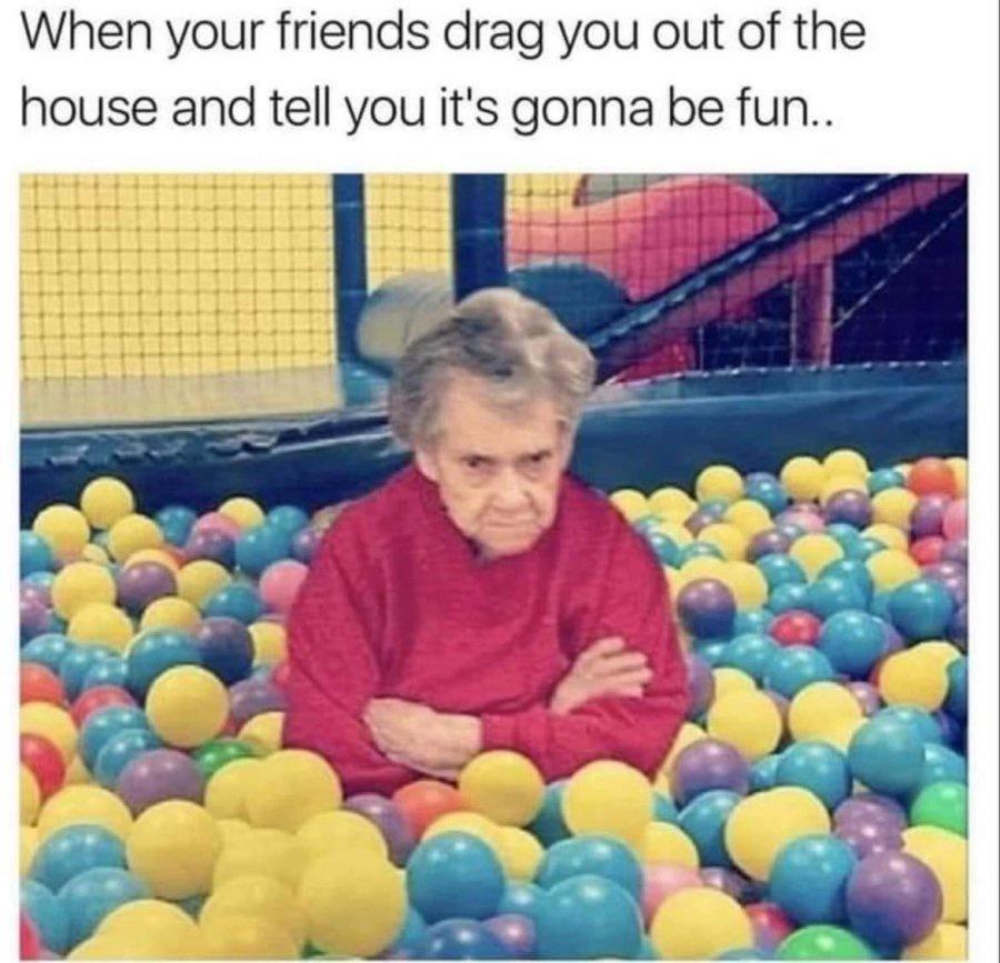 20 Must-See Memes Ideal for Casual Browsing 15 When your friends drag you out of the house